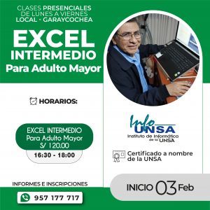 Excel Intermedio Adulto Mayor